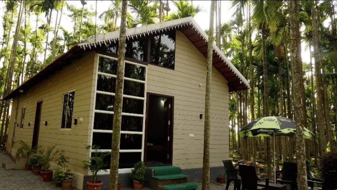 A cottage with a tall glass front, plants by the door and a garden umbrella