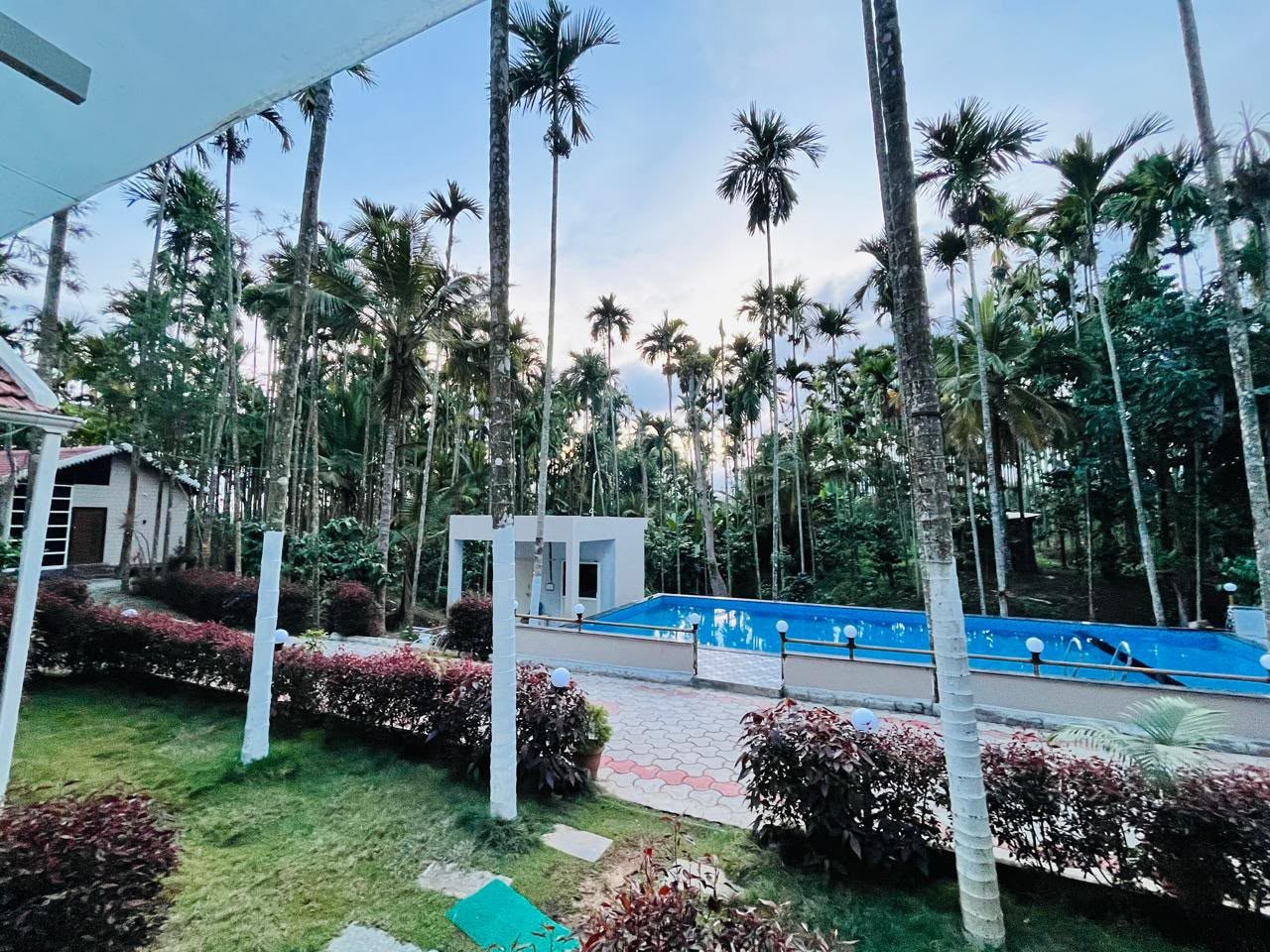 The pool seen across the garden among areca palms